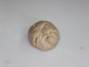 Plants: image 4 0f 24 thumb